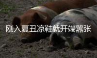 刚入夏丑凉鞋就开端嚣张了？！早预备早时髦！