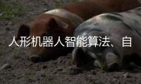 人形机器人智能算法、自主决策与规范差距及技术突破