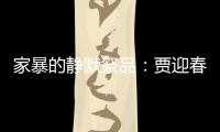 家暴的静默祭品：贾迎春的地球文艺镜像与深渊隐喻