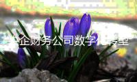 央企财务公司数字化转型：破局与赋能