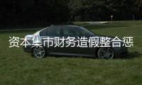 资本集市财务造假整合惩防意见解析